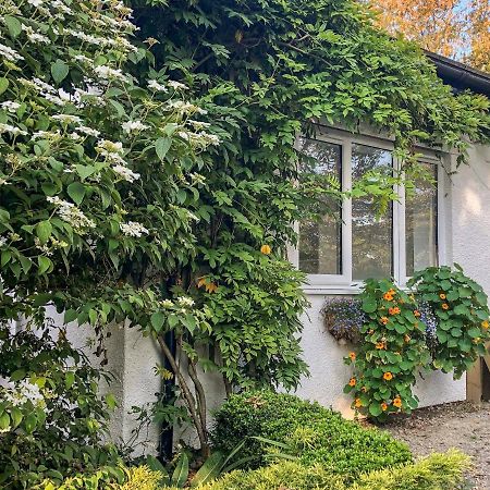 Vila Primrose End Bude Exteriér fotografie