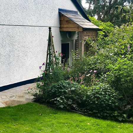 Vila Primrose End Bude Exteriér fotografie