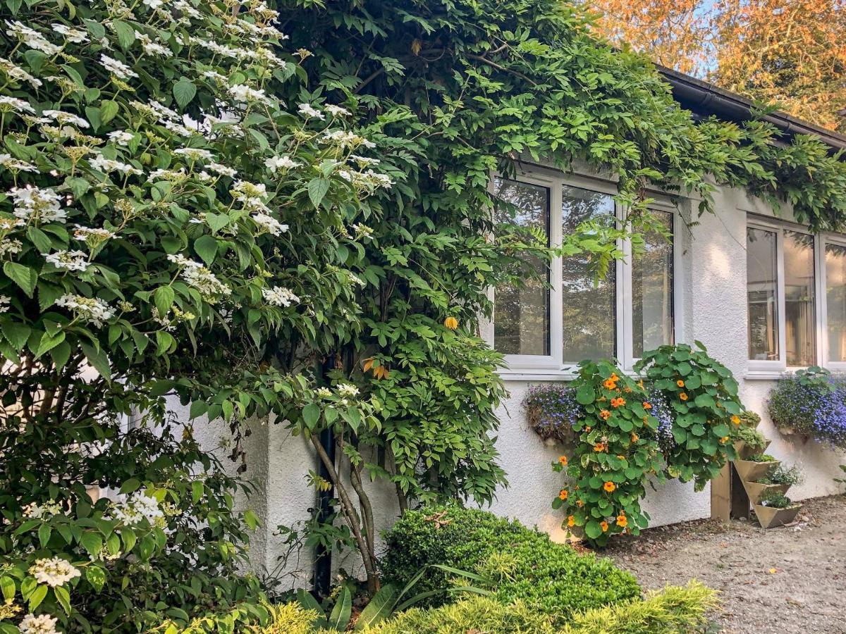 Vila Primrose End Bude Exteriér fotografie