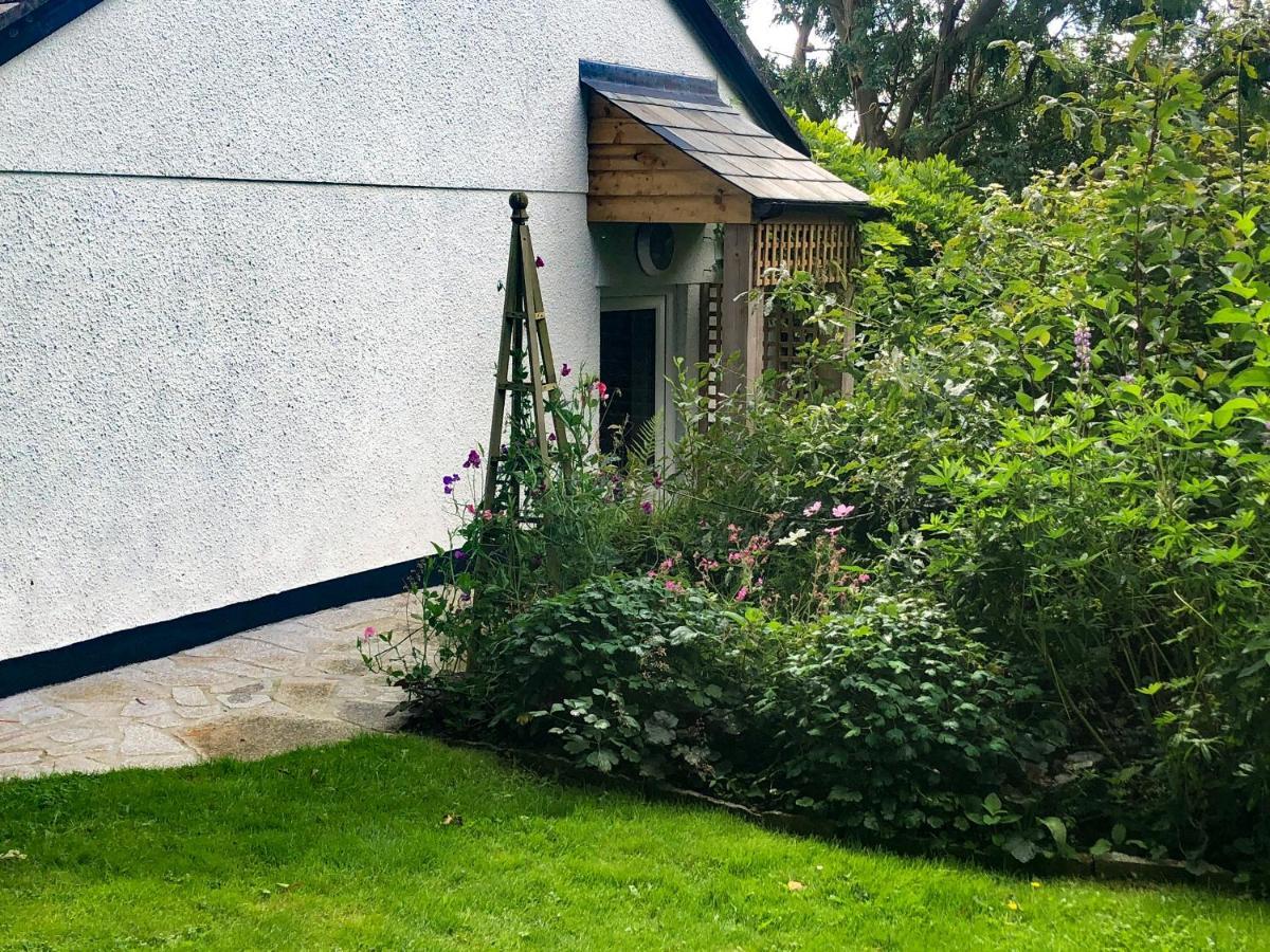Vila Primrose End Bude Exteriér fotografie