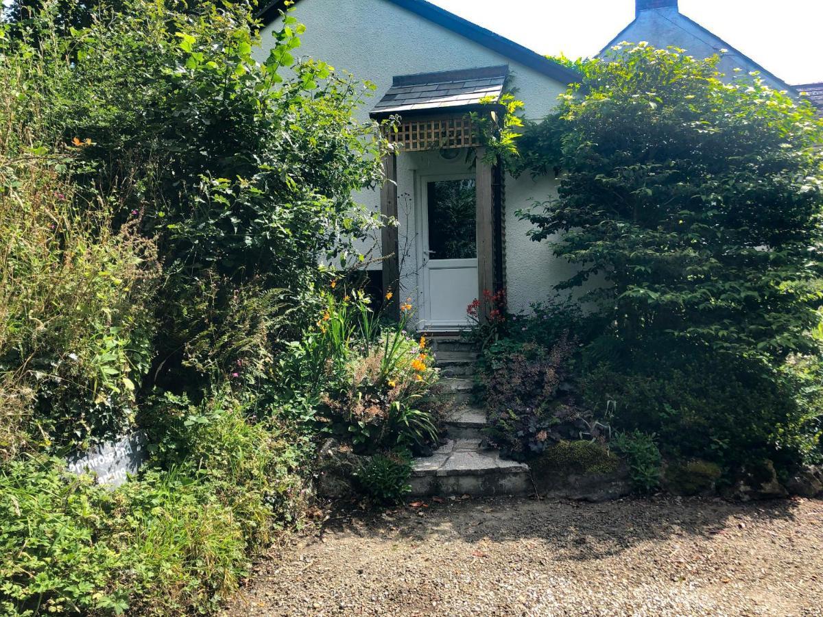 Vila Primrose End Bude Exteriér fotografie