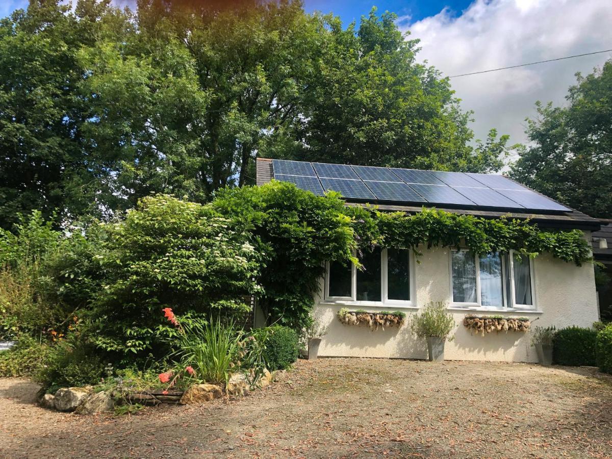Vila Primrose End Bude Exteriér fotografie